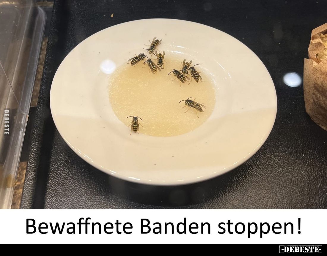 Bewaffnete Banden stoppen!