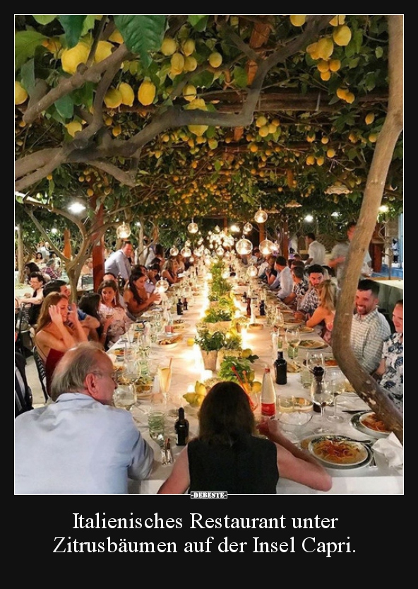 Italienisches Restaurant unter Zitrusbäumen auf der Insel.. - Lustige Bilder | DEBESTE.de