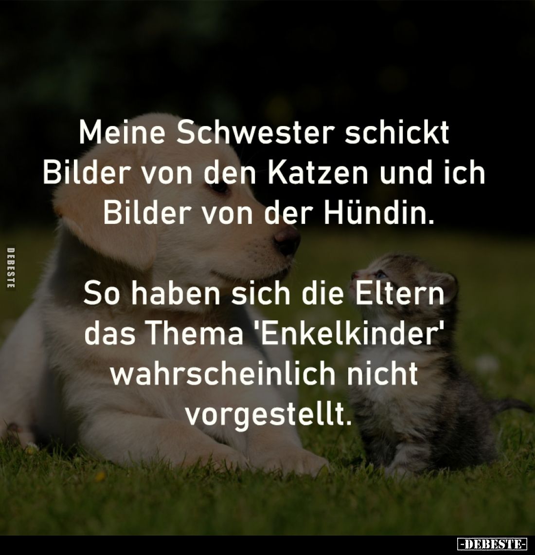 Meine Schwester schickt 
Bilder von den Katzen und ich 
Bilder von der Hündin.

So haben sich die Eltern 
das Thema 'Enk...