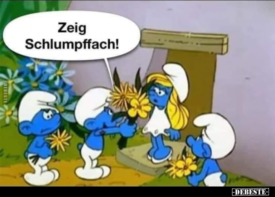 Zeig Schlumpffach!