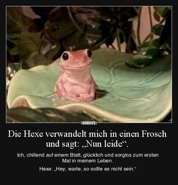 Die Hexe verwandelt mich in einen Frosch und sagt: "Nun.." - Lustige Bilder | DEBESTE.de