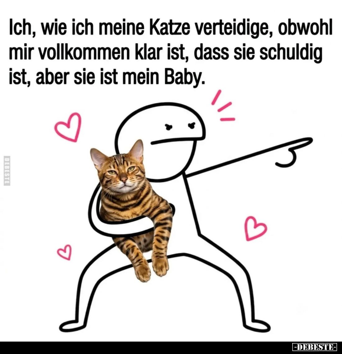 Ich, wie ich meine Katze verteidige, obwohl mir vollkommen klar ist, dass sie schuldig ist, aber sie ist mein Baby.