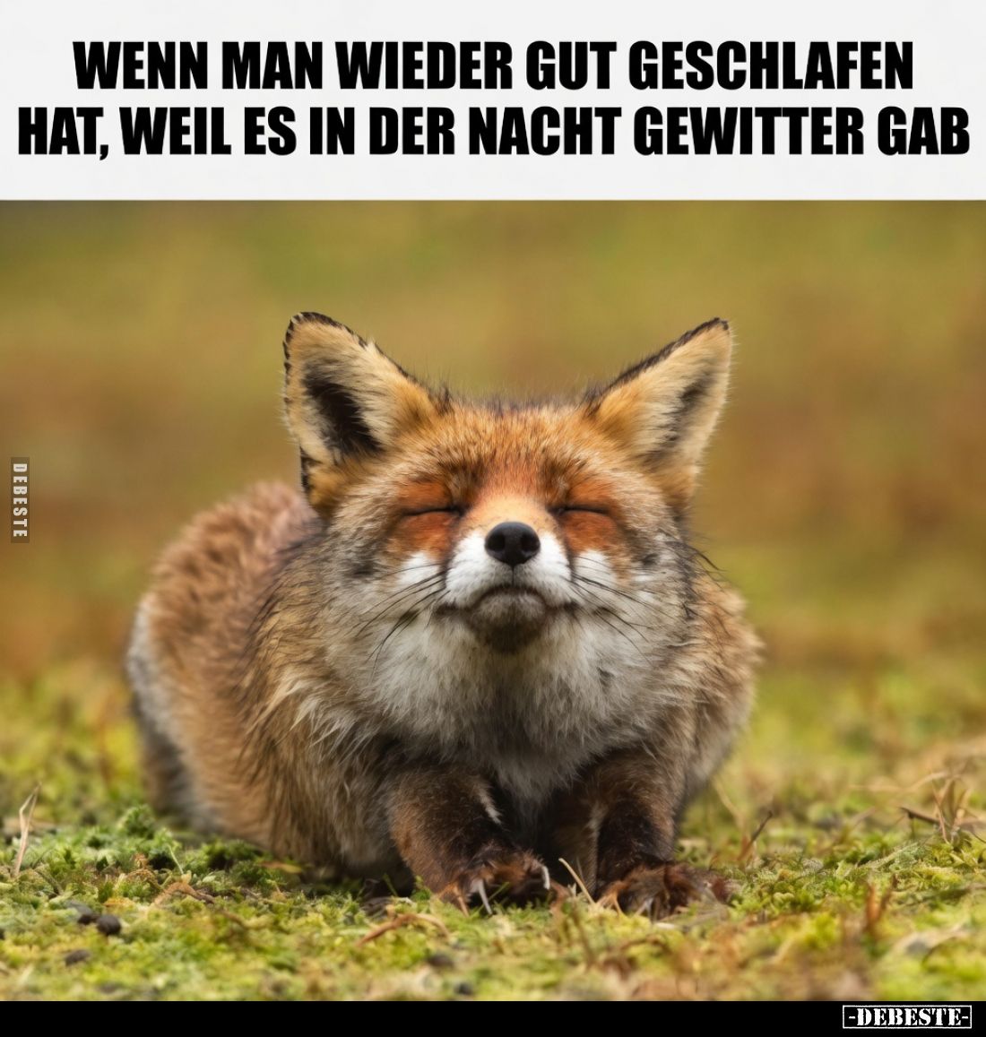 Wenn man wieder gut geschlafen hat, weil es in der Nacht Gewitter gab
