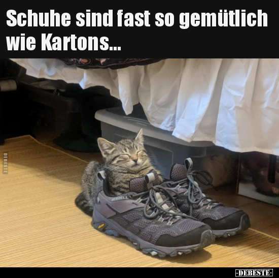 Schuhe sind fast so gemütlich wie Kartons... - Lustige Bilder | DEBESTE.de