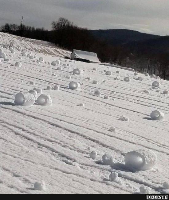 Winterernte..