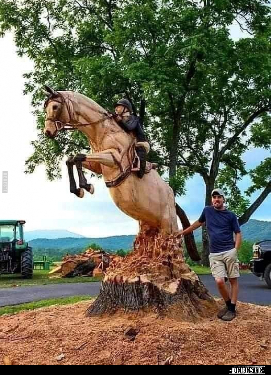  - Lustige Bilder | DEBESTE.de