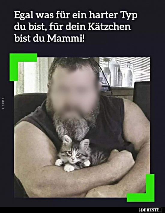 Egal was für ein harter Typ du bist, für dein Kätzchen bist.. - Lustige Bilder | DEBESTE.de