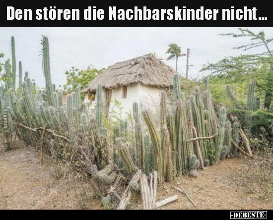 Den stören die Nachbarskinder nicht...