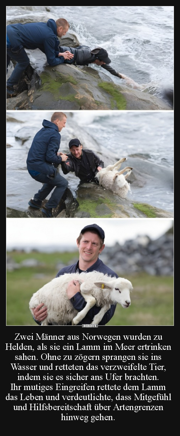 Zwei Männer aus Norwegen wurden zu Helden.. - Lustige Bilder | DEBESTE.de