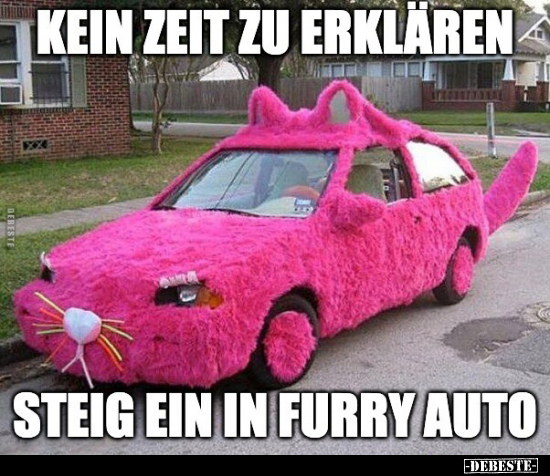 Kein Zeit zu erklären, steig ein in furry Auto.. - Lustige Bilder | DEBESTE.de