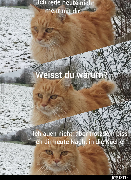 Ich rede heute nicht mehr mit dir...