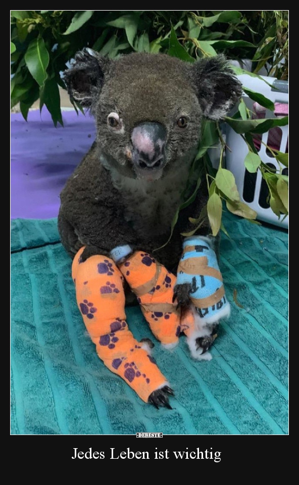 Jedes Leben ist wichtig..