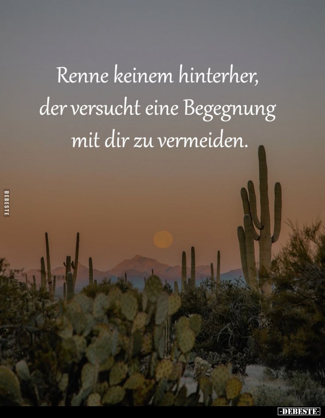 Renne keinem hinterher,
der versucht eine Begegnung
mit dir zu vermeiden.