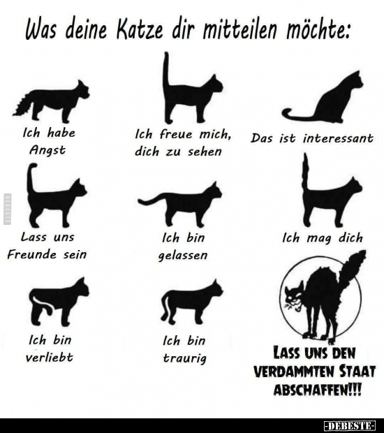 Was deine Katze dir mitteilen möchte.. - Lustige Bilder | DEBESTE.de