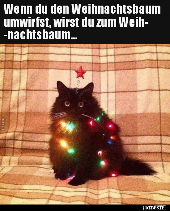 Wenn du den Weihnachtsbaum umwirfst, wirst du zum..