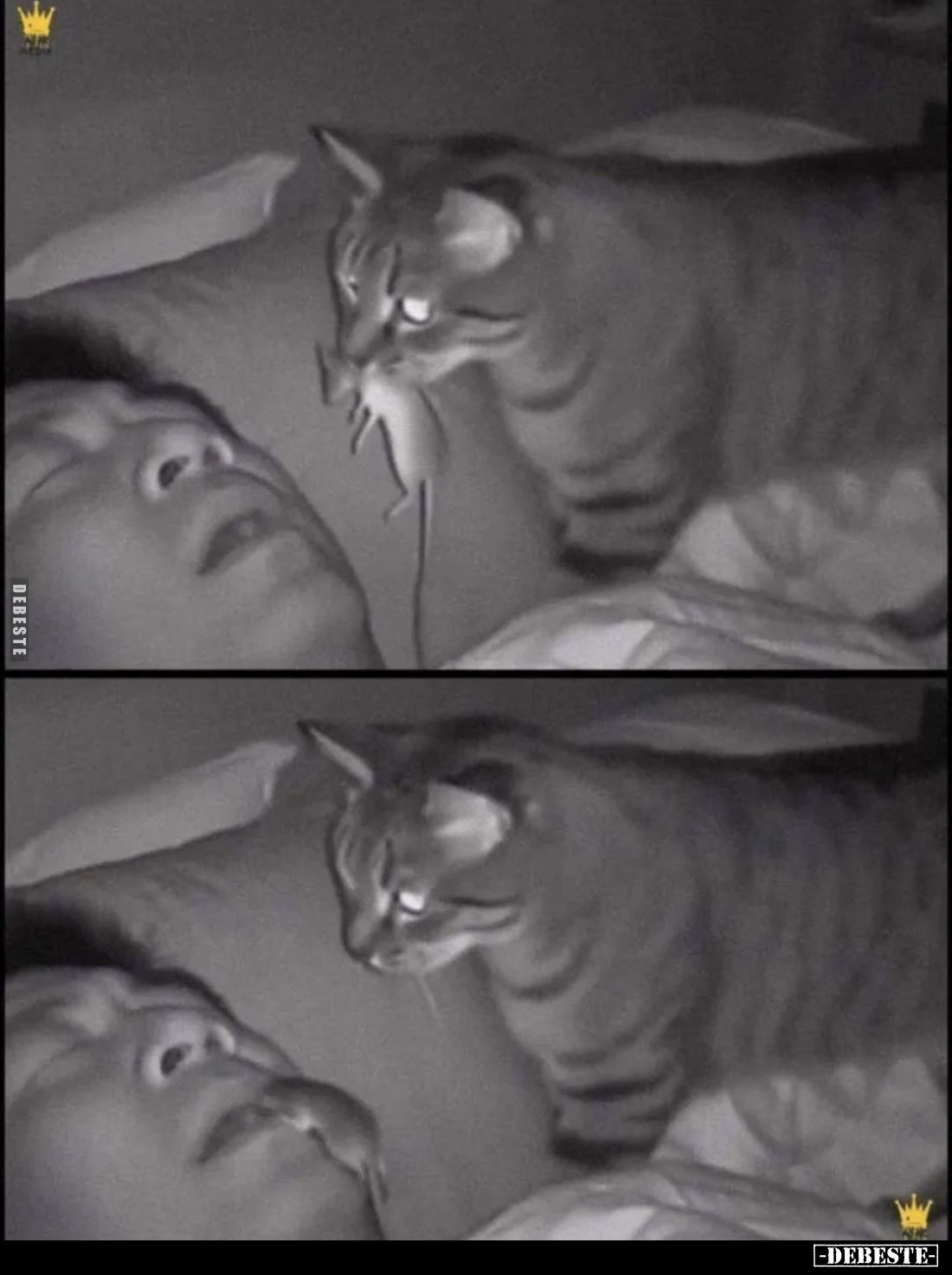 Geschenk.. - Lustige Bilder | DEBESTE.de