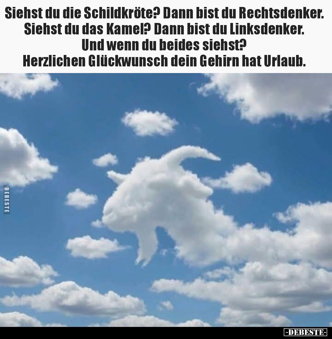 Siehst du die Schildkröte? Dann bist du Rechtsdenker. Siehst du das Kamel? Dann bist du Linksdenker.
Und wenn du beides sieh...