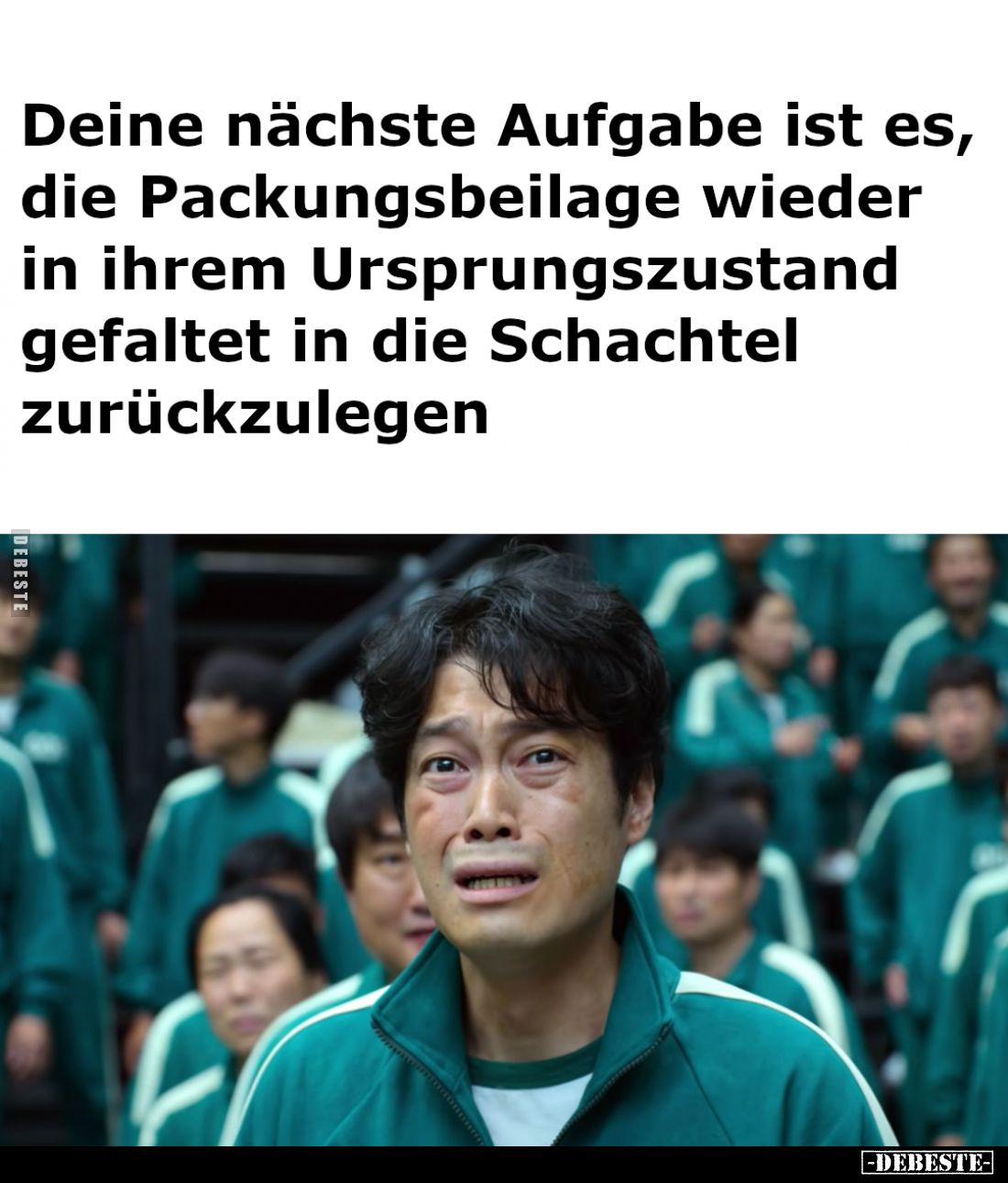 Deine nächste Aufgabe ist es, die Packungsbeilage wieder in ihrem Ursprungszustand gefaltet in die Schachtel zurückzulegen