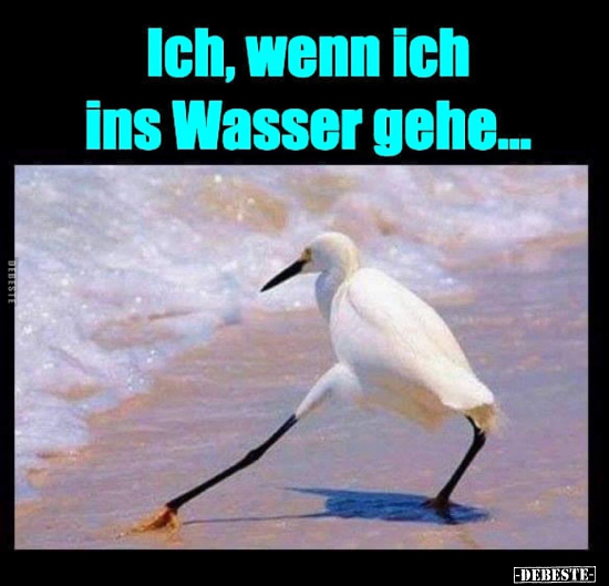 Ich, wenn ich ins Wasser gehe... - Lustige Bilder | DEBESTE.de