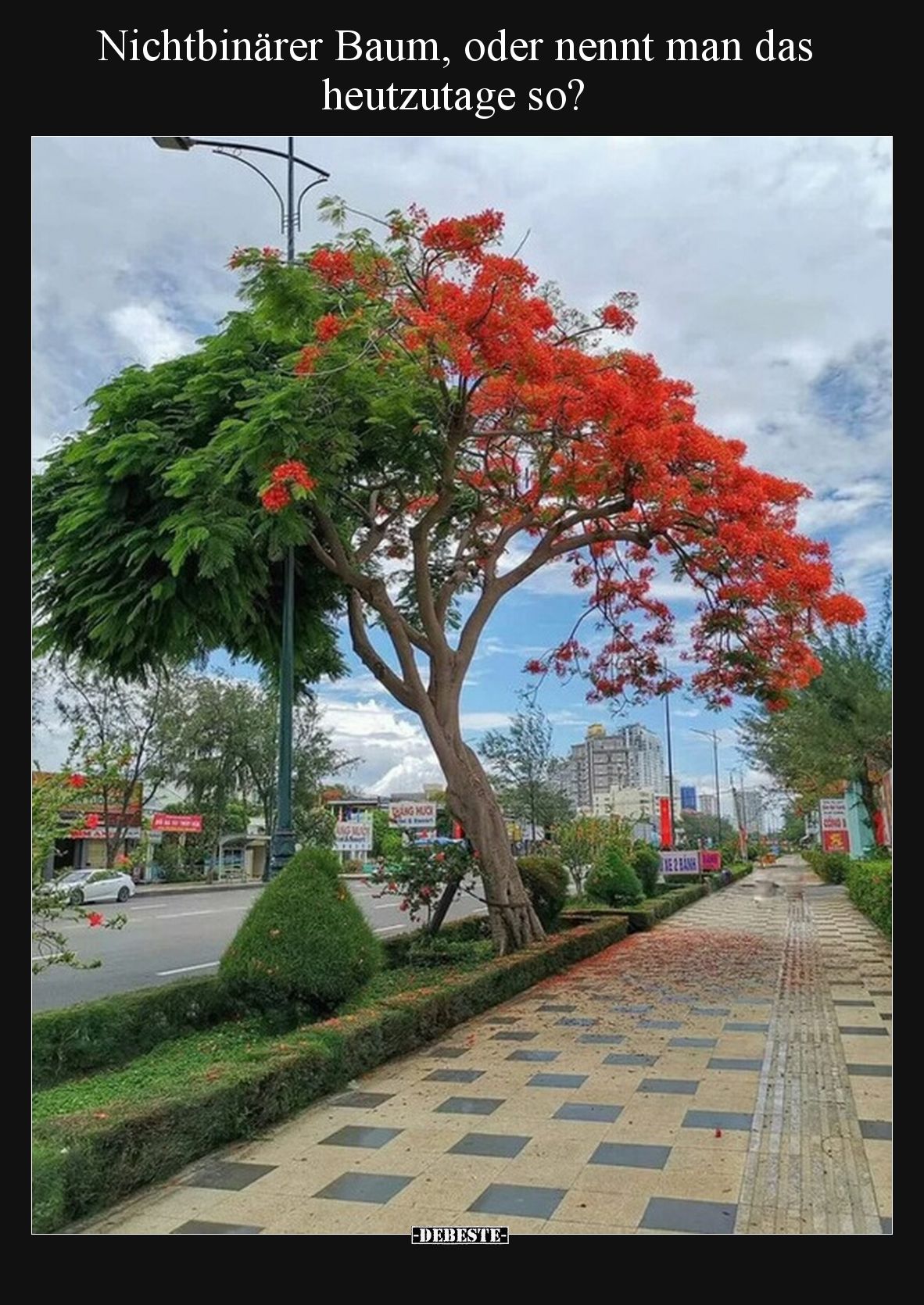 Nichtbinärer Baum, oder nennt man das heutzutage so?