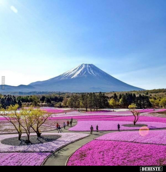  - Lustige Bilder | DEBESTE.de