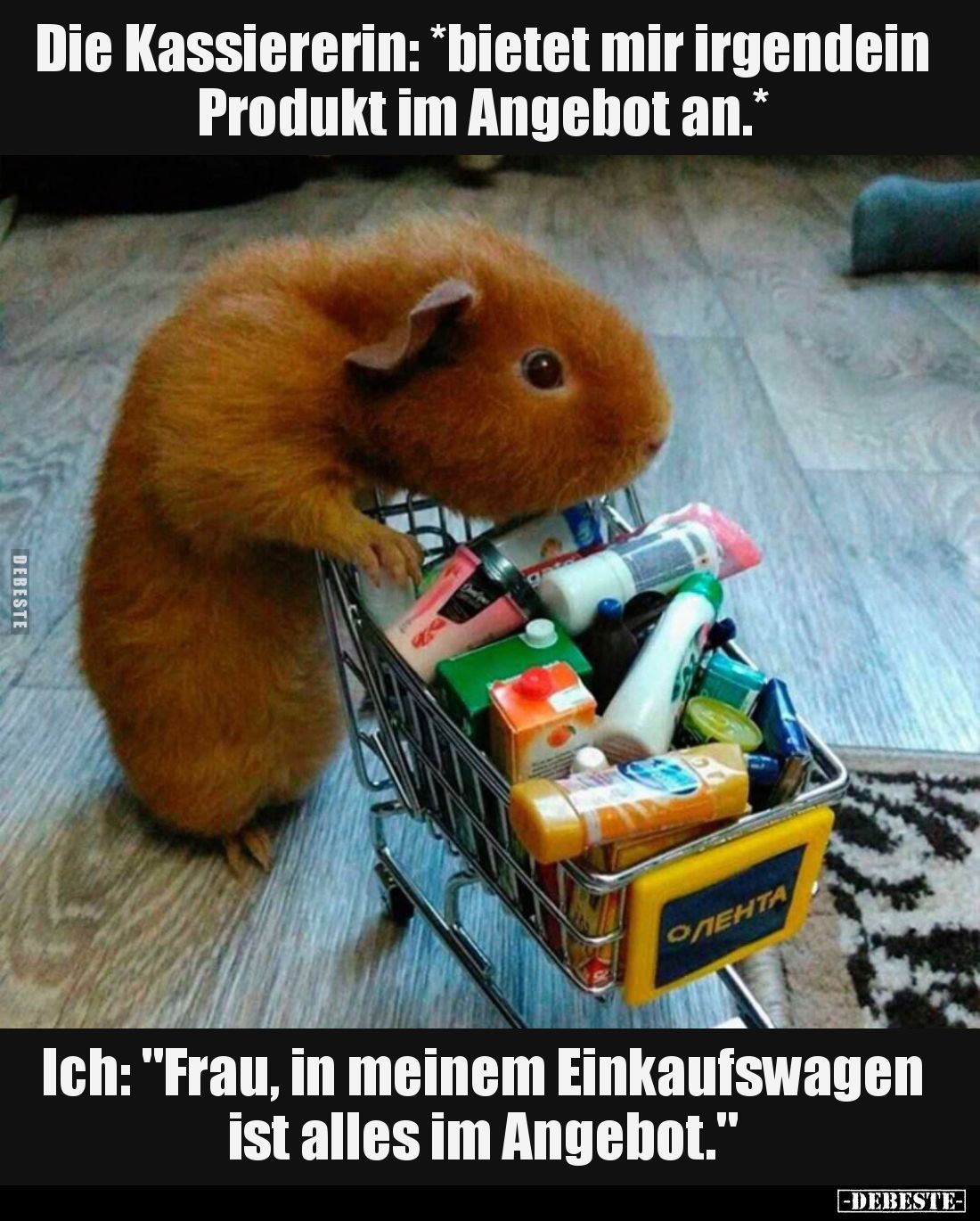 Die Kassiererin: *bietet mir irgendein Produkt im Angebot an.*
Ich: Frau, in meinem Einkaufswagen ist alles im Angebot.
