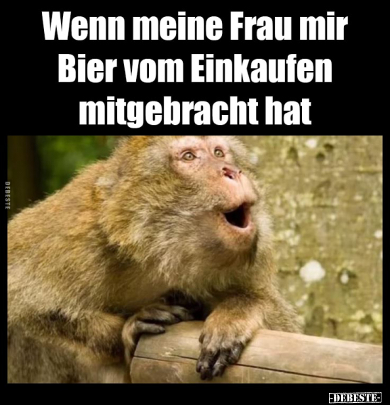 Wenn meine Frau mir Bier vom Einkaufen mitgebracht.. - Lustige Bilder | DEBESTE.de