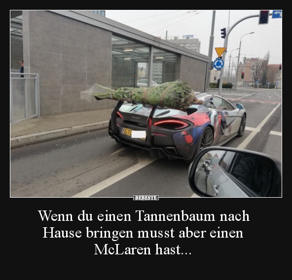 Wenn du einen Tannenbaum nach Hause bringen musst aber.. - Lustige Bilder | DEBESTE.de
