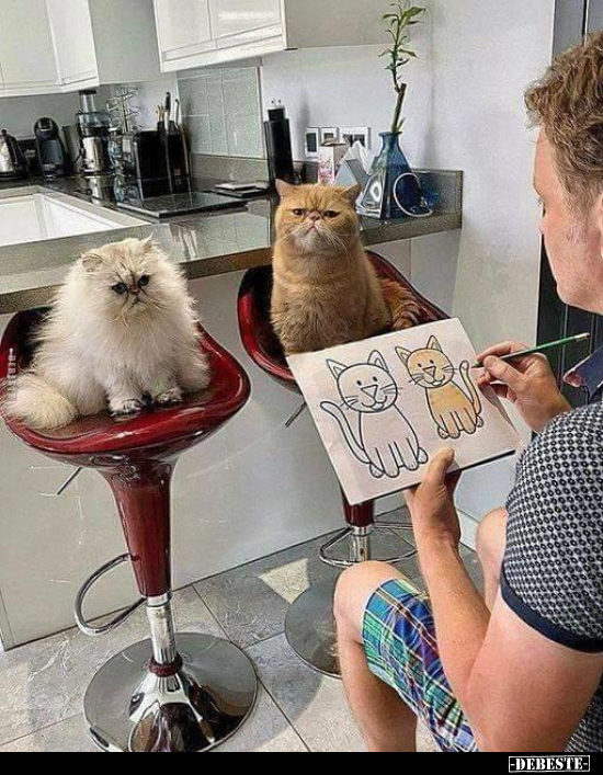  - Lustige Bilder | DEBESTE.de