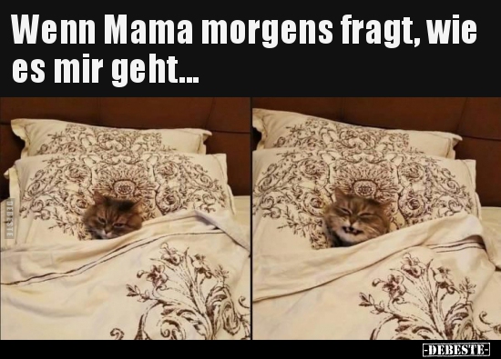 Morgen, Mama, Morgens