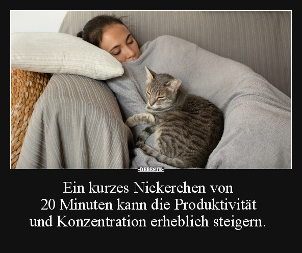 Ein kurzes Nickerchen von 20 Minuten kann die.. - Lustige Bilder | DEBESTE.de