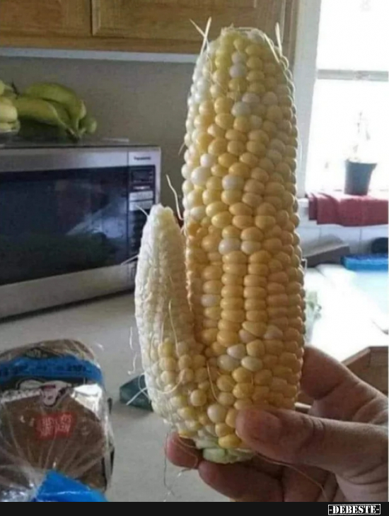 Natürliche Auslese ... - Lustige Bilder | DEBESTE.de