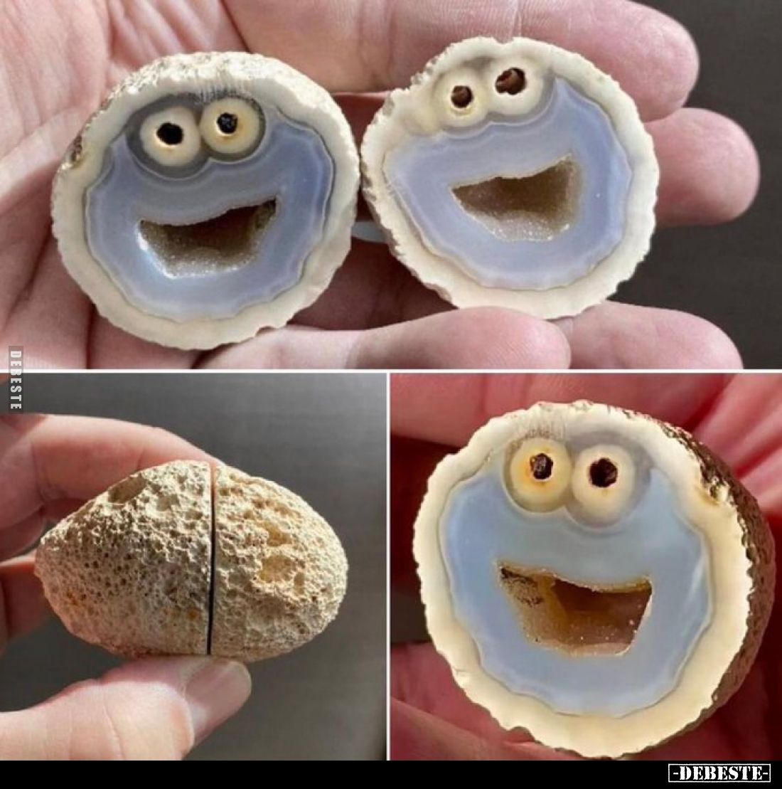 Krümelmonster