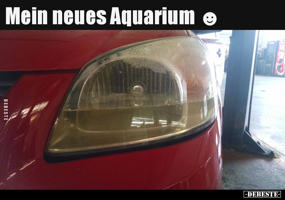 Mein neues Aquarium.