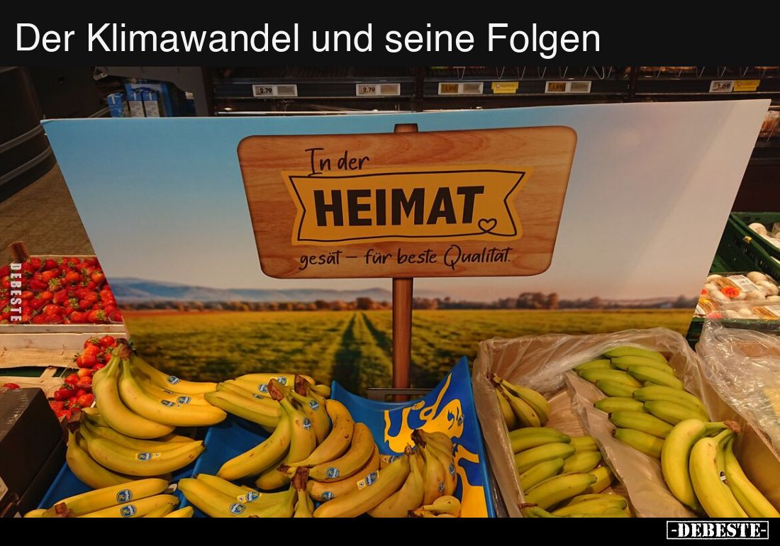 Der Klimawandel und seine Folgen..