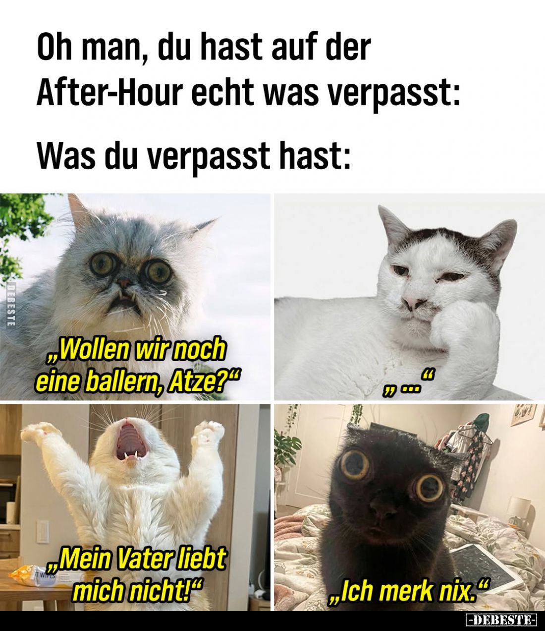 Oh man, du hast auf der After-Hour echt was verpasst: -
Was du verpasst hast: