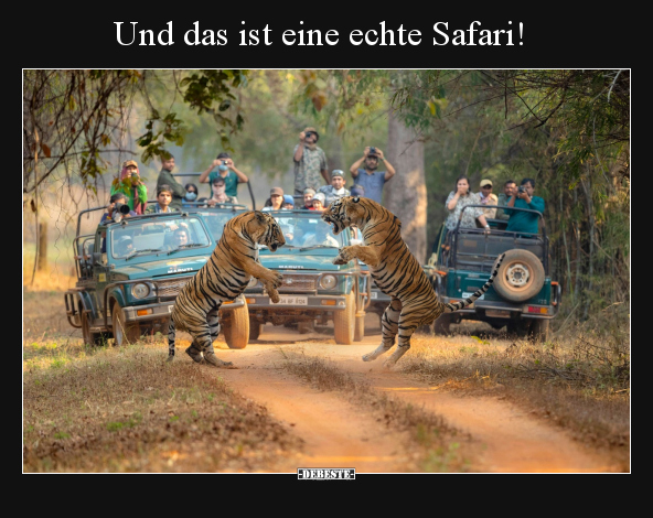 Und das ist eine echte Safari!.. - Lustige Bilder | DEBESTE.de