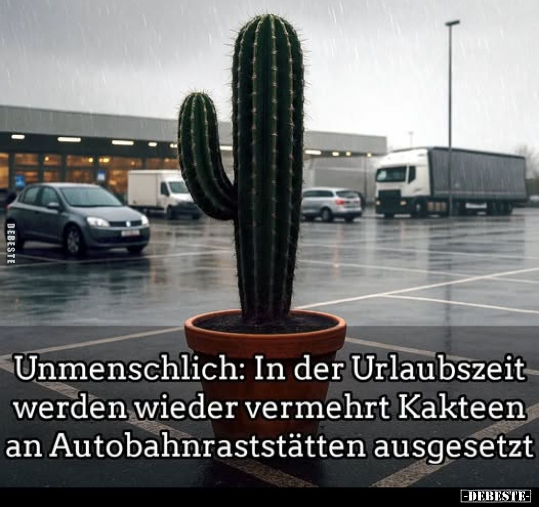 Unmenschlich: In der Urlaubszeit werden wieder vermehrt Kakteen an Autobahnraststätten ausgesetzt.