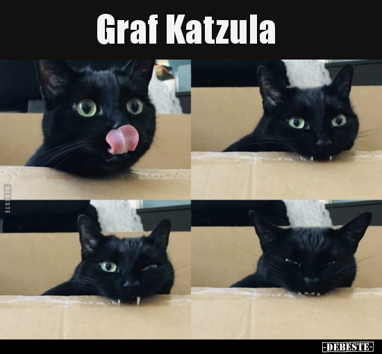 Graf Katzula..