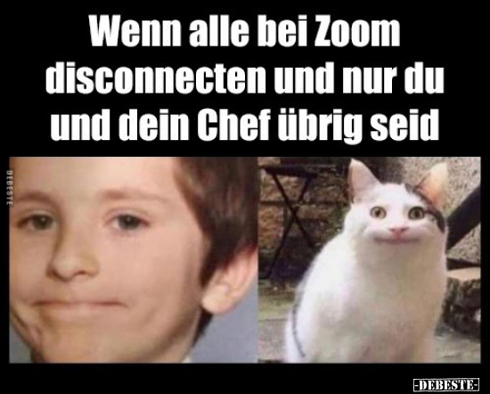 Wenn alle bei zoom disconnecten und nur du und dein Chef.. - Lustige Bilder | DEBESTE.de