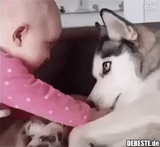 Oouuiii, ich bin empört!