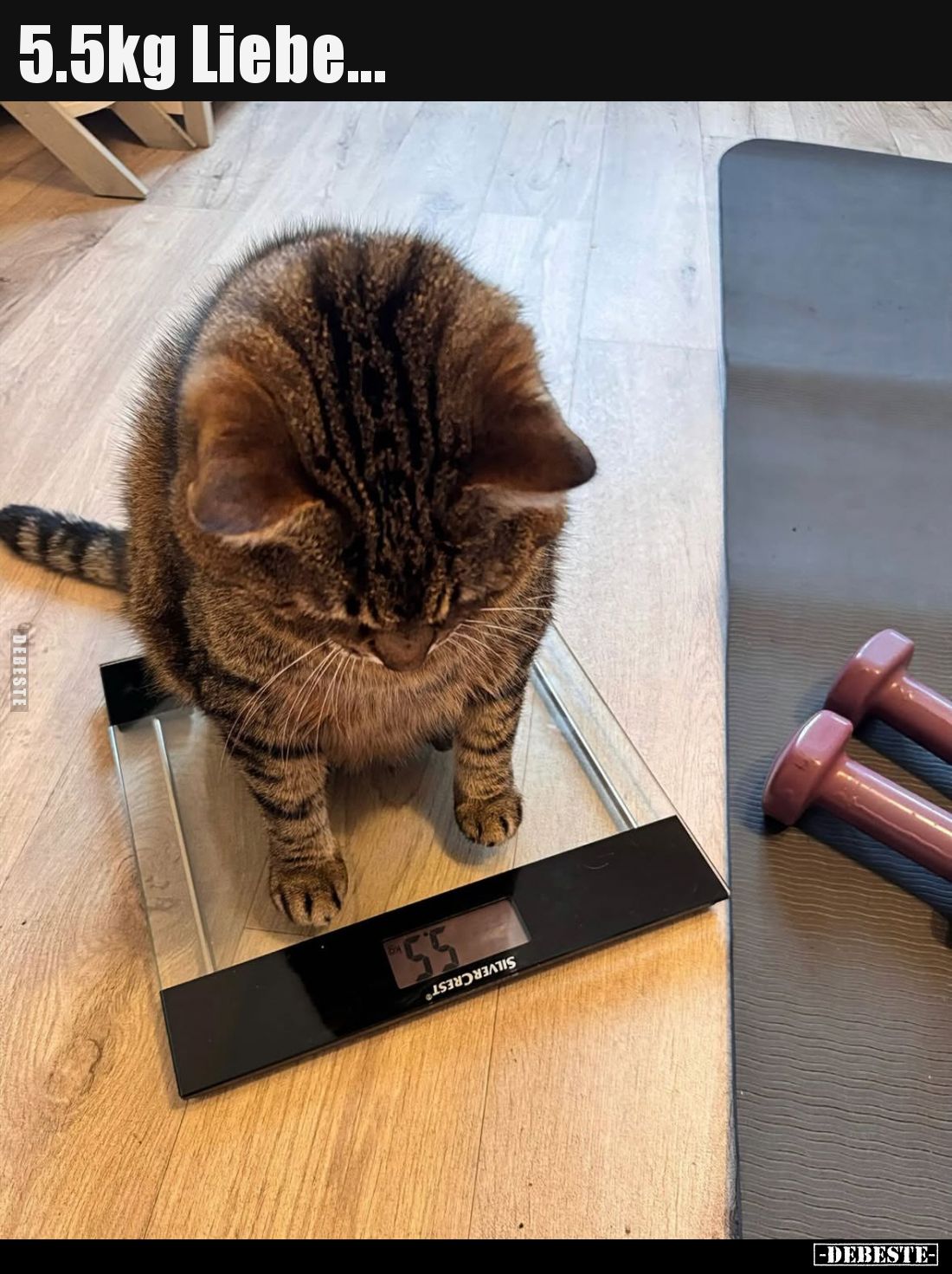 5.5kg Liebe...
