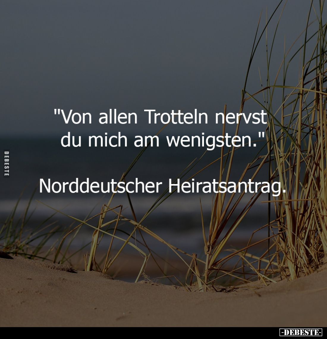 "Von allen Trotteln nervst 
du mich am wenigsten."

Norddeutscher Heiratsantrag.