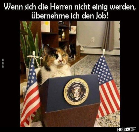 Wenn sich die Herren nicht einig werden, übernehme ich den..