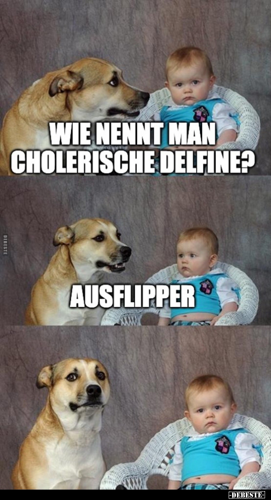 Wie nennt man cholerische Delfine?.. - Lustige Bilder | DEBESTE.de