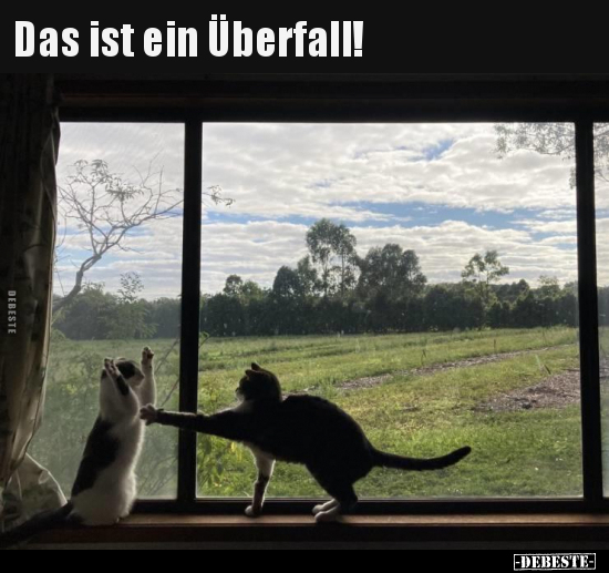 Das ist ein Überfall!..