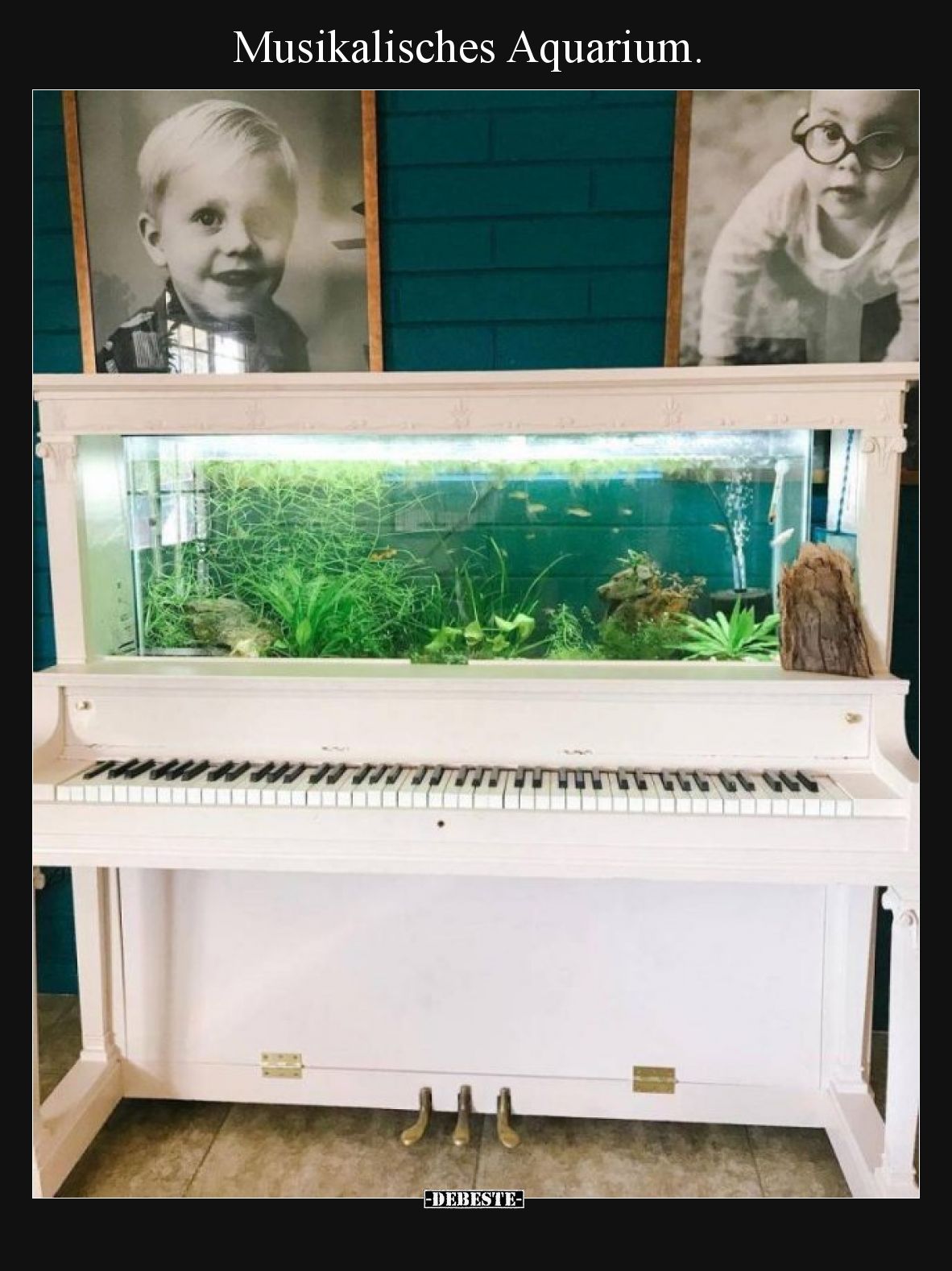 Musikalisches Aquarium
