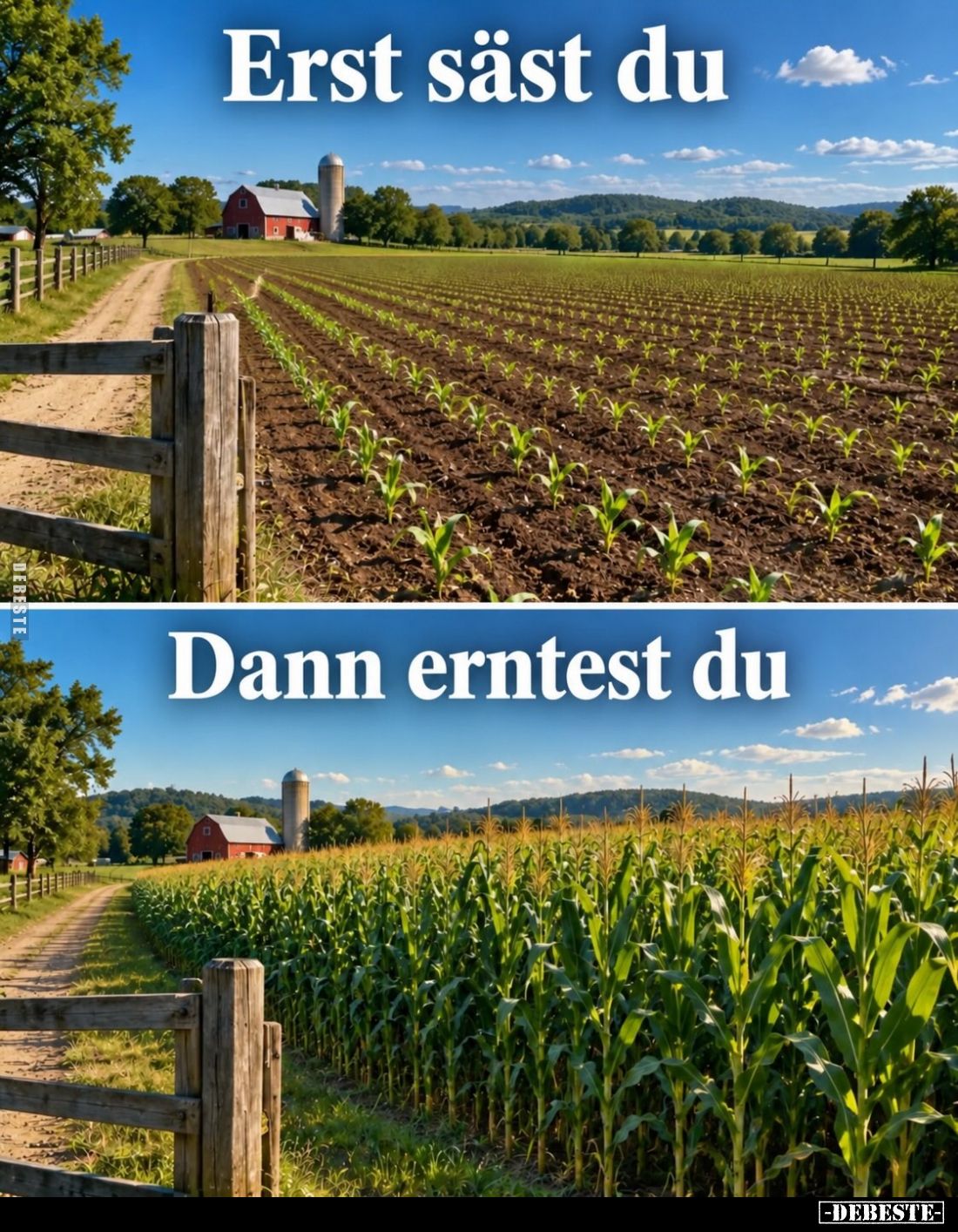 Erst säst du.
Dann erntest du.