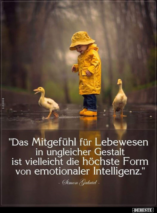 "Das Mitgefühl für Lebewesen in ungleicher Gestalt.." - Lustige Bilder | DEBESTE.de