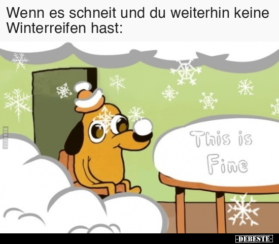 Wenn es schneit und du weiterhin keine Winterreifen.. - Lustige Bilder | DEBESTE.de